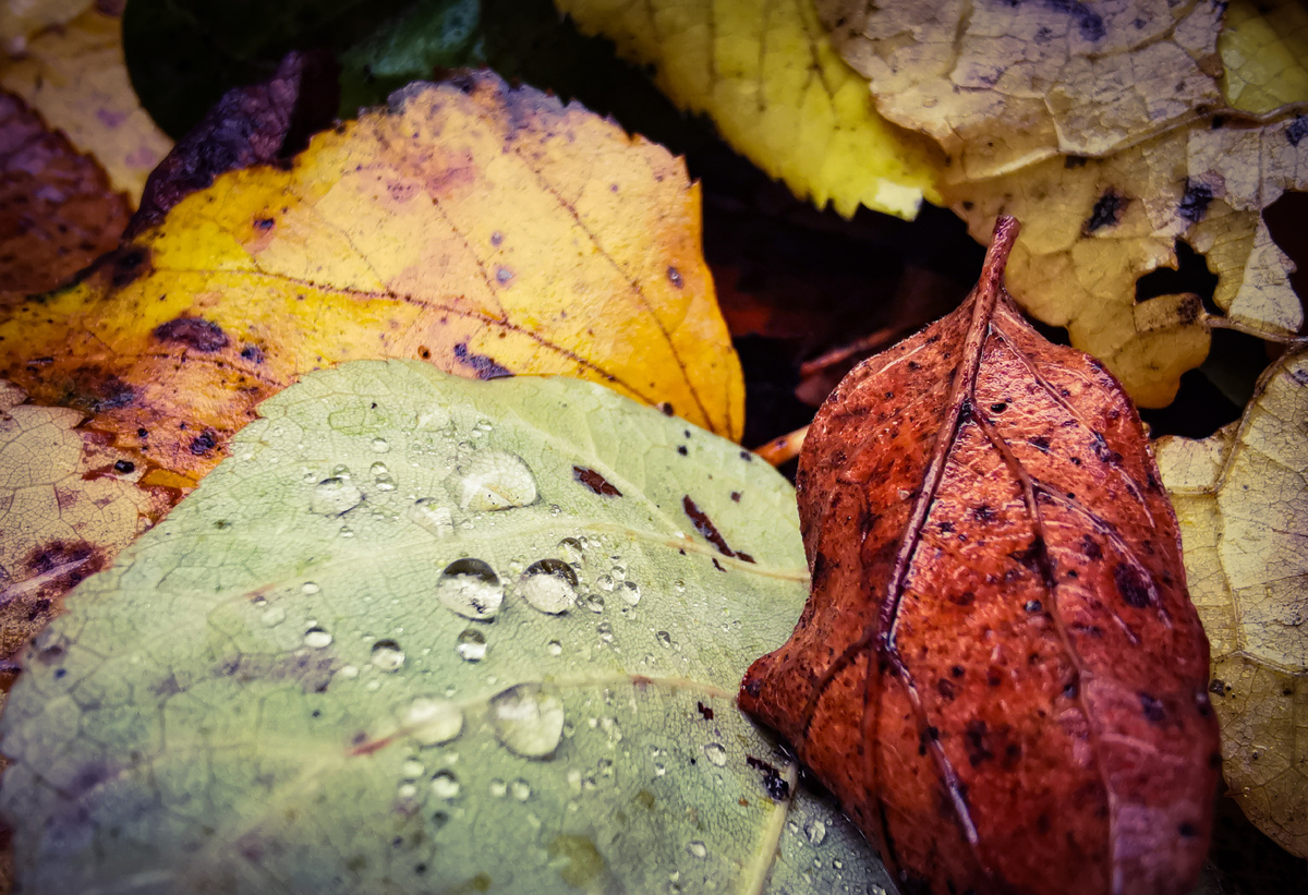 Пока ещё очень красиво