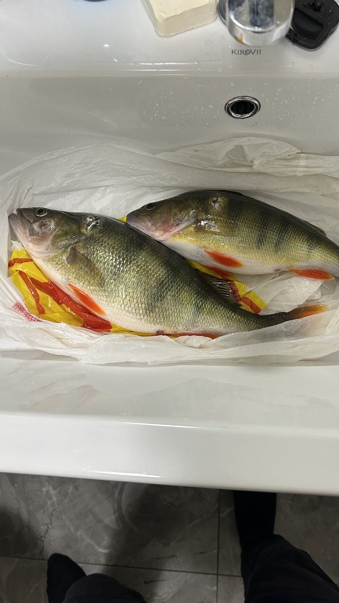 Позор, но куда деваться.