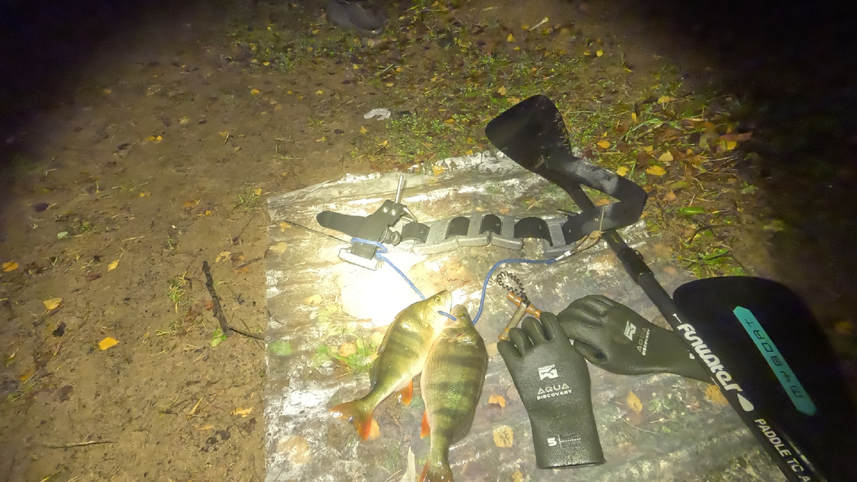 Двух свежих весел забрал собой 