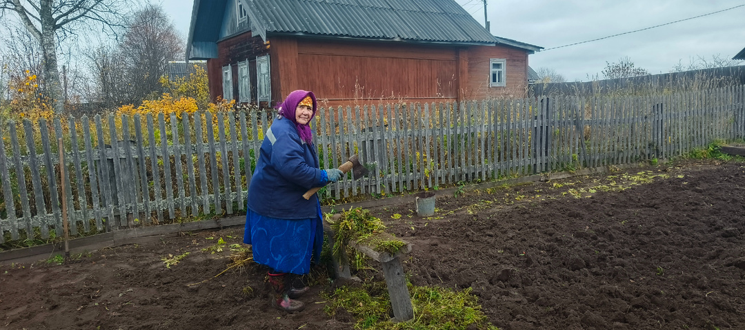 Немного обо всем.