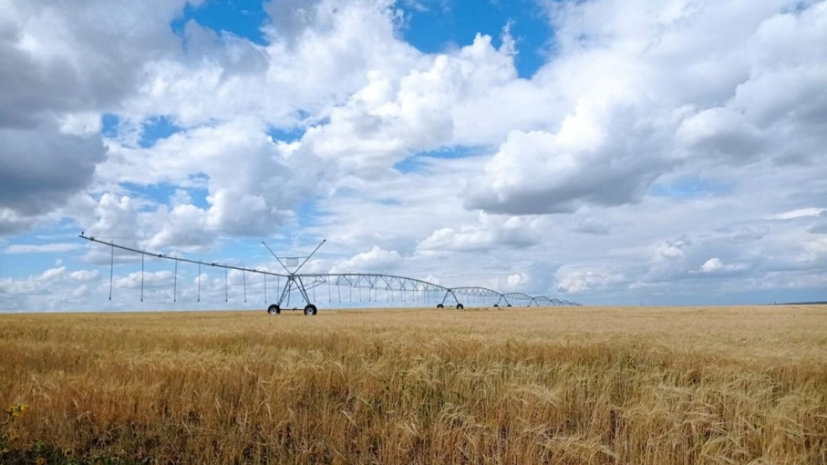    «Золотая осень»: Саратовская область вышла в лидеры по закупке техникиНовости Саратова и области – Сетевое издание «Репортер64»