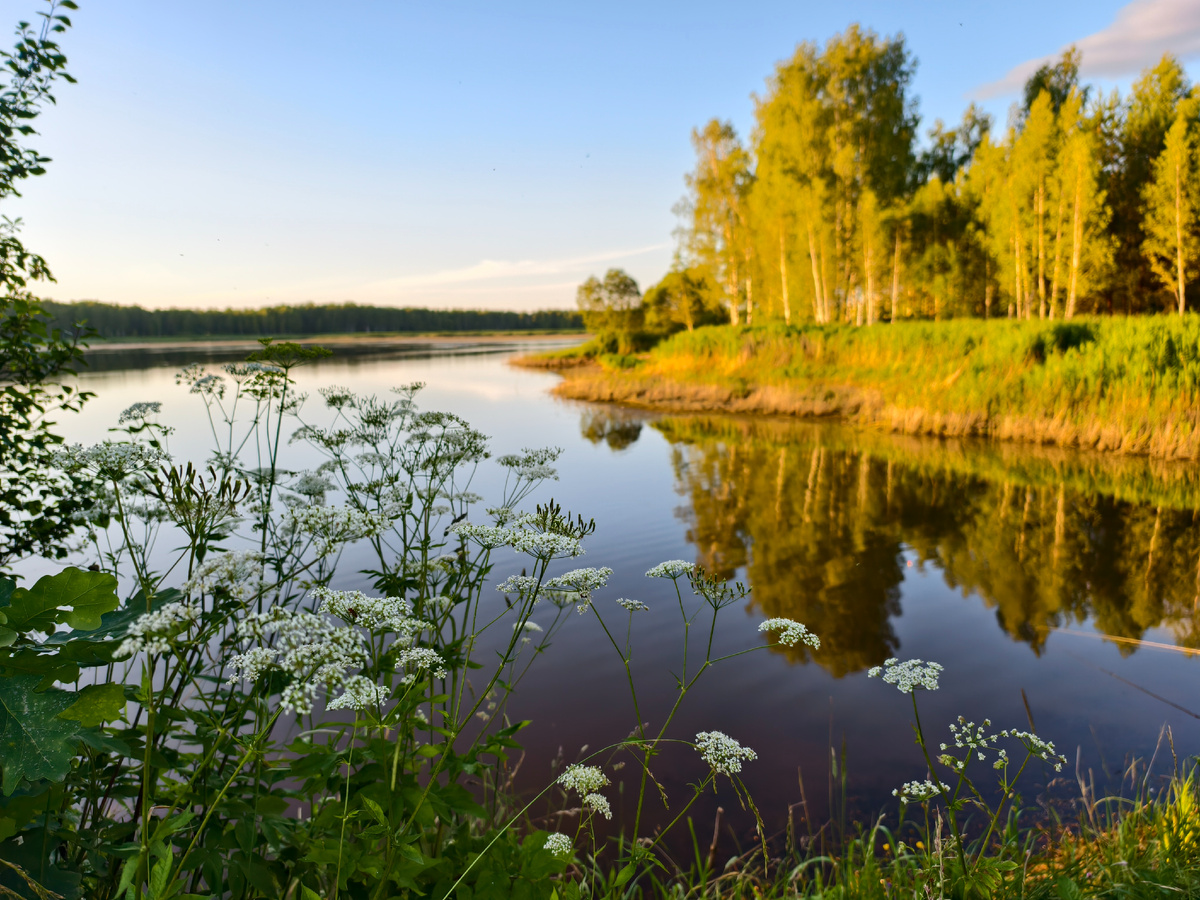 Летний закат 
