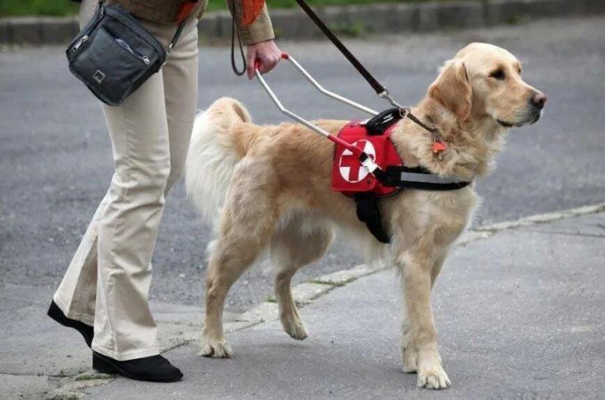 Фото взято из сети Интернет.