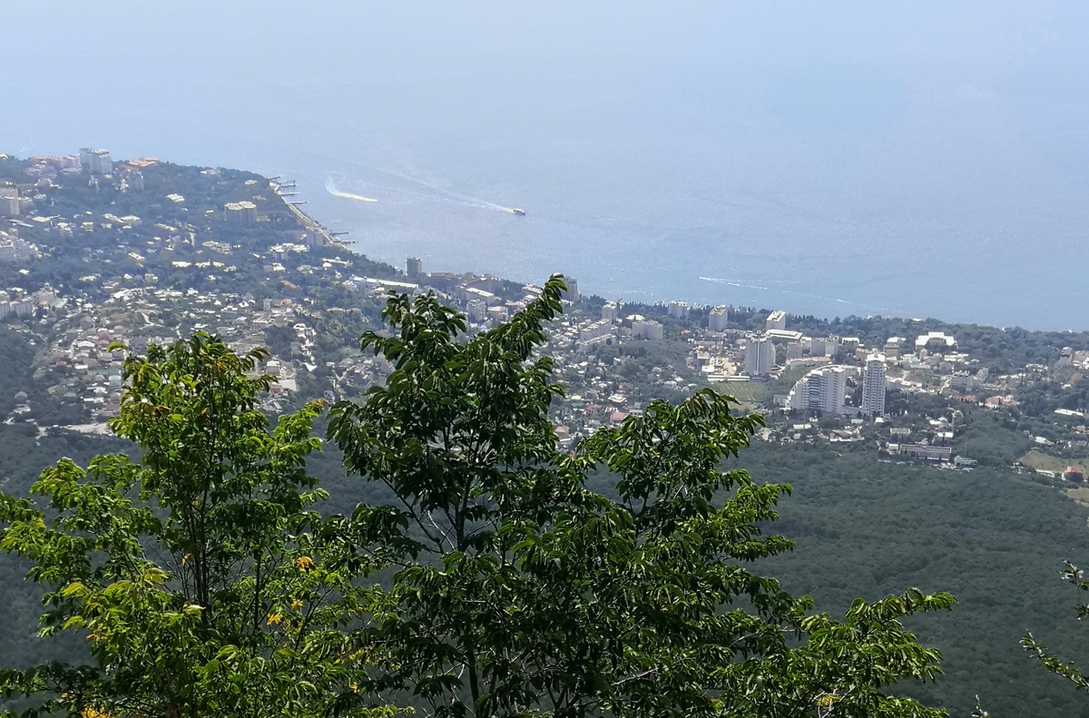 Когда облака низкие, они окутывают плато молочным туманом. А вот если повезёт с погодой, можно увидеть потрясающие панорамы Ялты и Чёрного моря. Фото автора