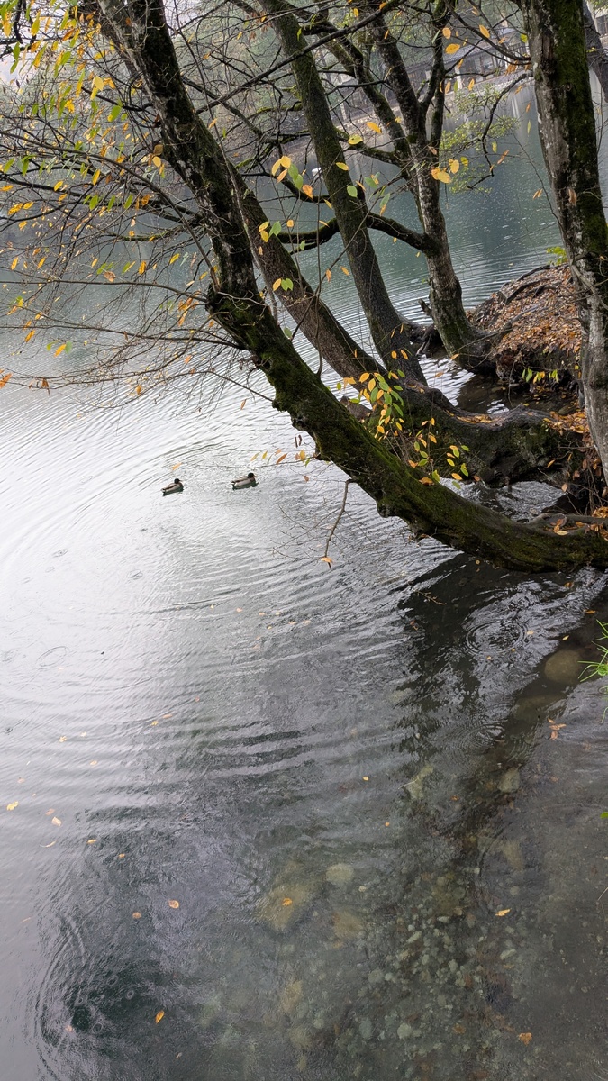 Голубое озеро. Фото автора