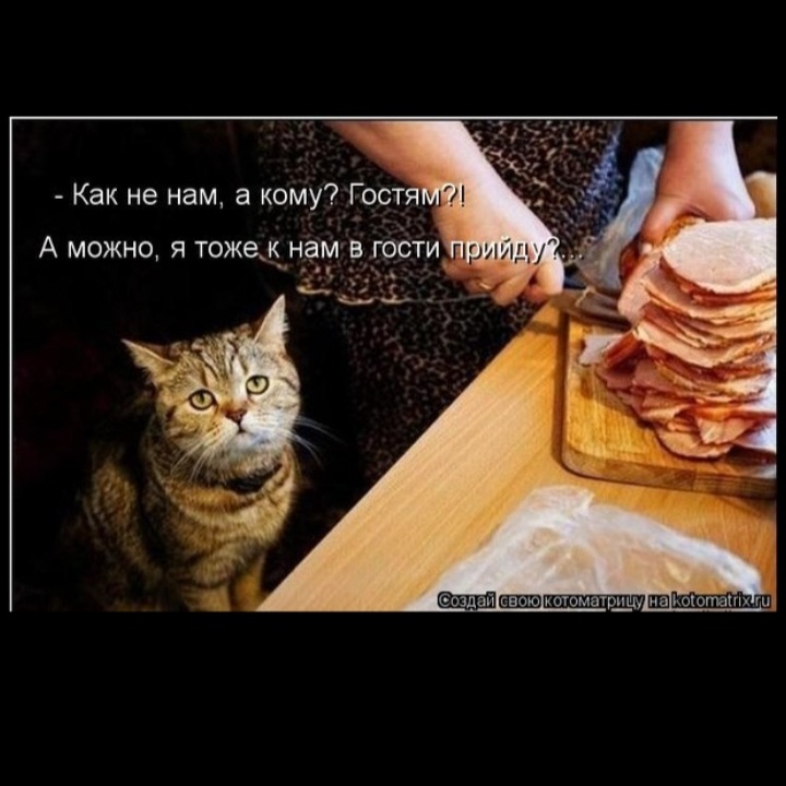 Из открытых источников интернета.