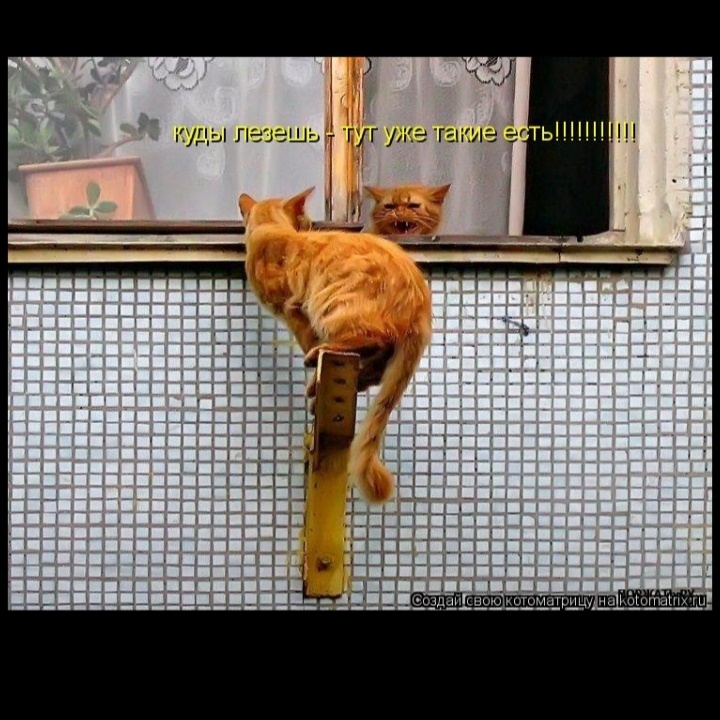 Из открытых источников интернета.