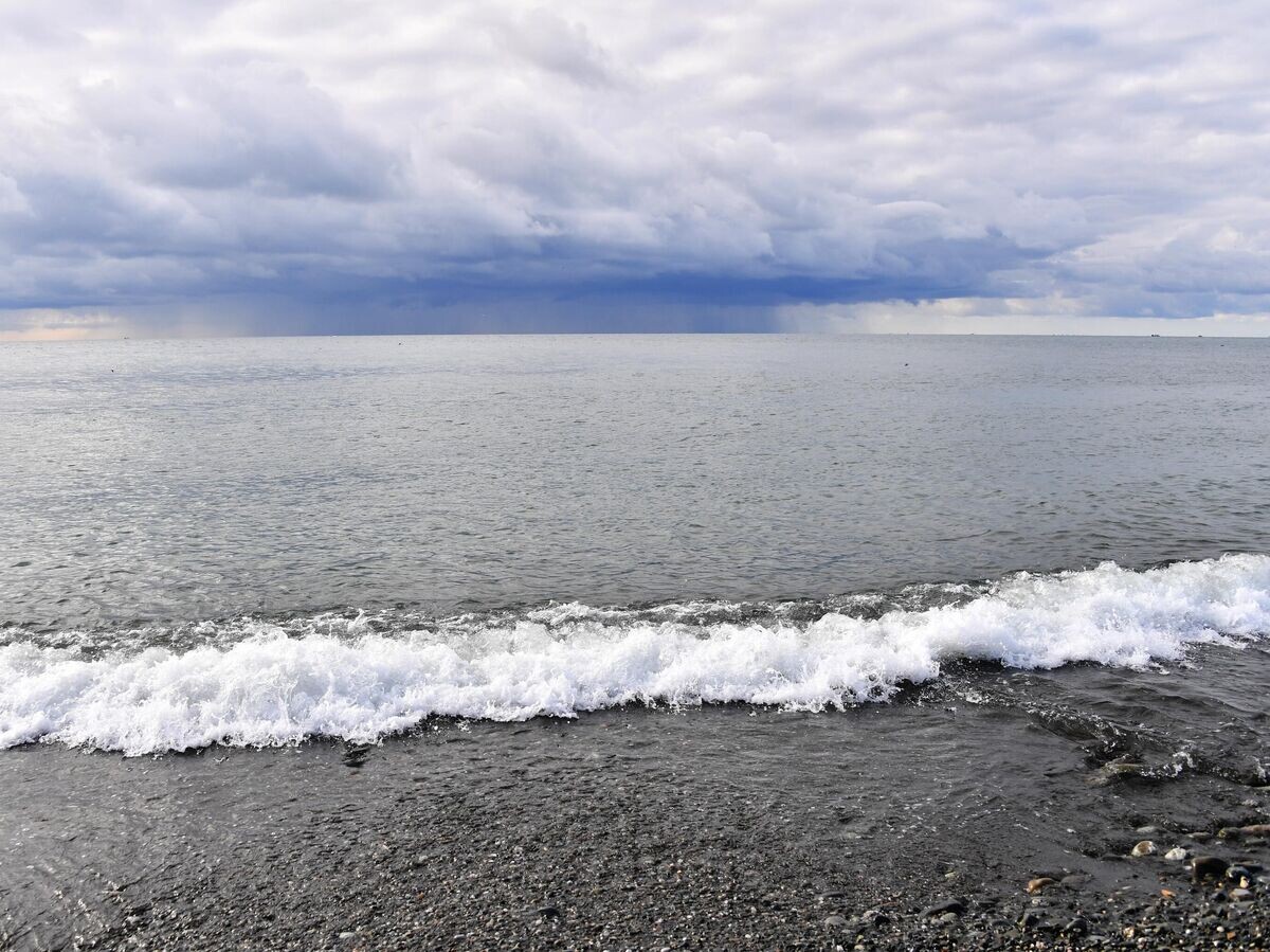    Берег Черного моря© РИА Новости . Наталья Селиверстова