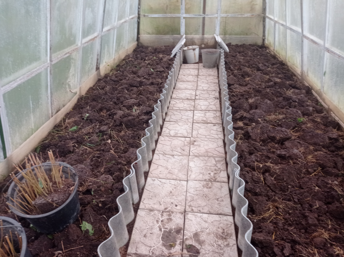 Вот так выглядит теплица после наведения в ней порядка - грядки перекопаны и убрана вся трава, которая росла на стыках плиток. В ведрах выкопанные для пересадки флоксы