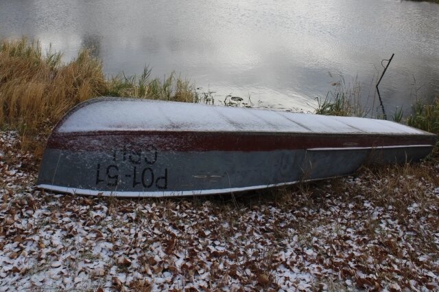    Фото: АиФ/ Евгения Гаева