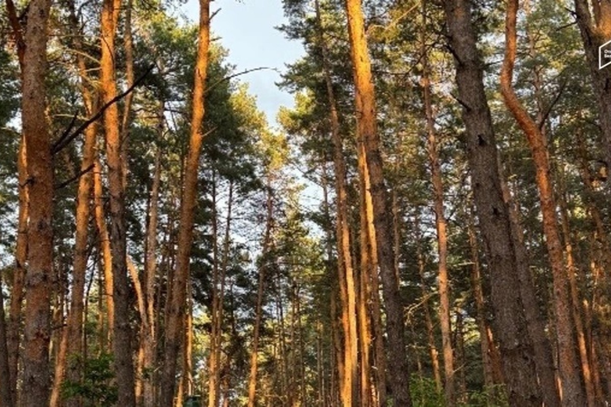    Фото: mirbelogorya.ru