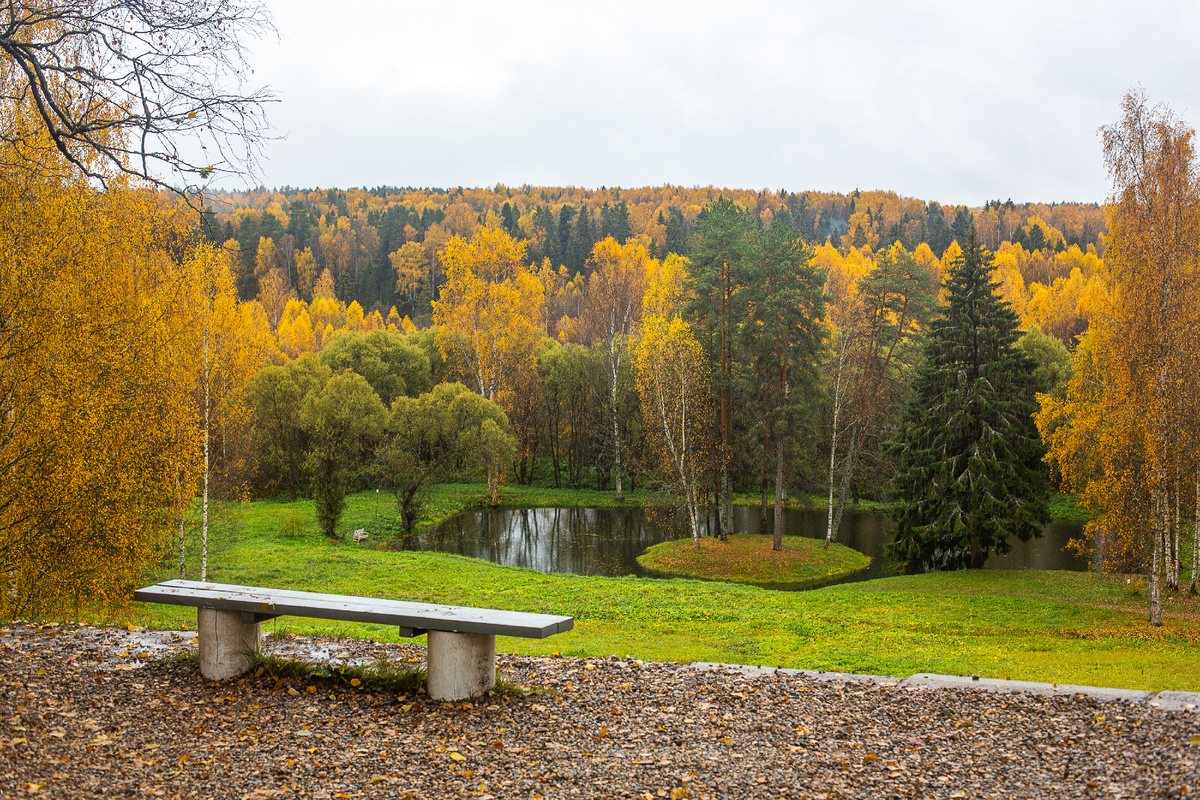 Парк усадьбы Щелыково. Смотровая площадка с видом на парк и пруд с любимым островом А.Н. Островского на месте бывшего Гостевого дома. Государственный мемориальный и природный музей-заповедник драматурга А.Н. Островского. Щелыково, Островский муниципальный округ, Костромская область. Фото автора статьи