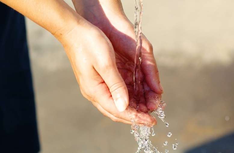   Фото: по лицензии PxHere