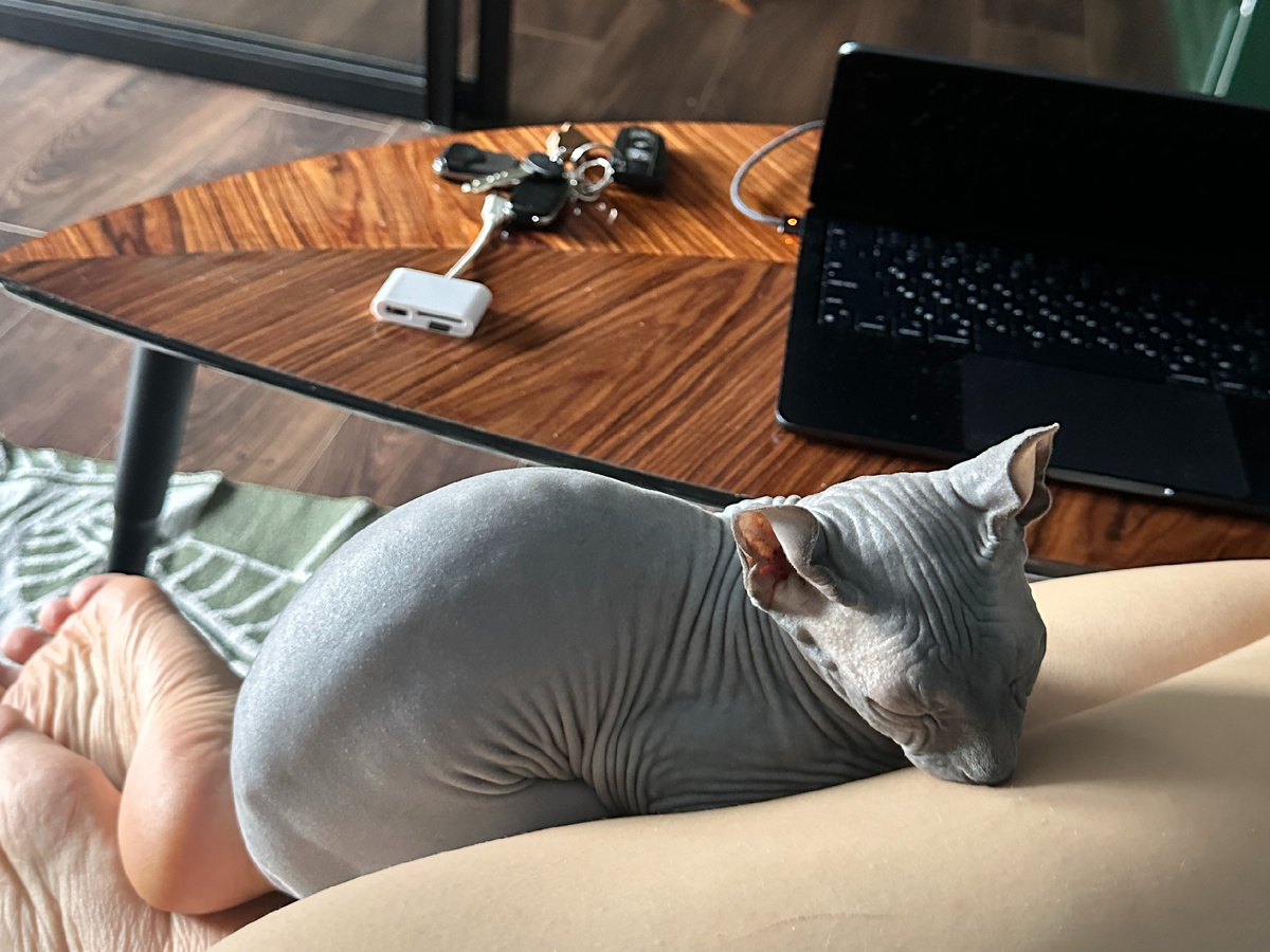 Эль в коленях