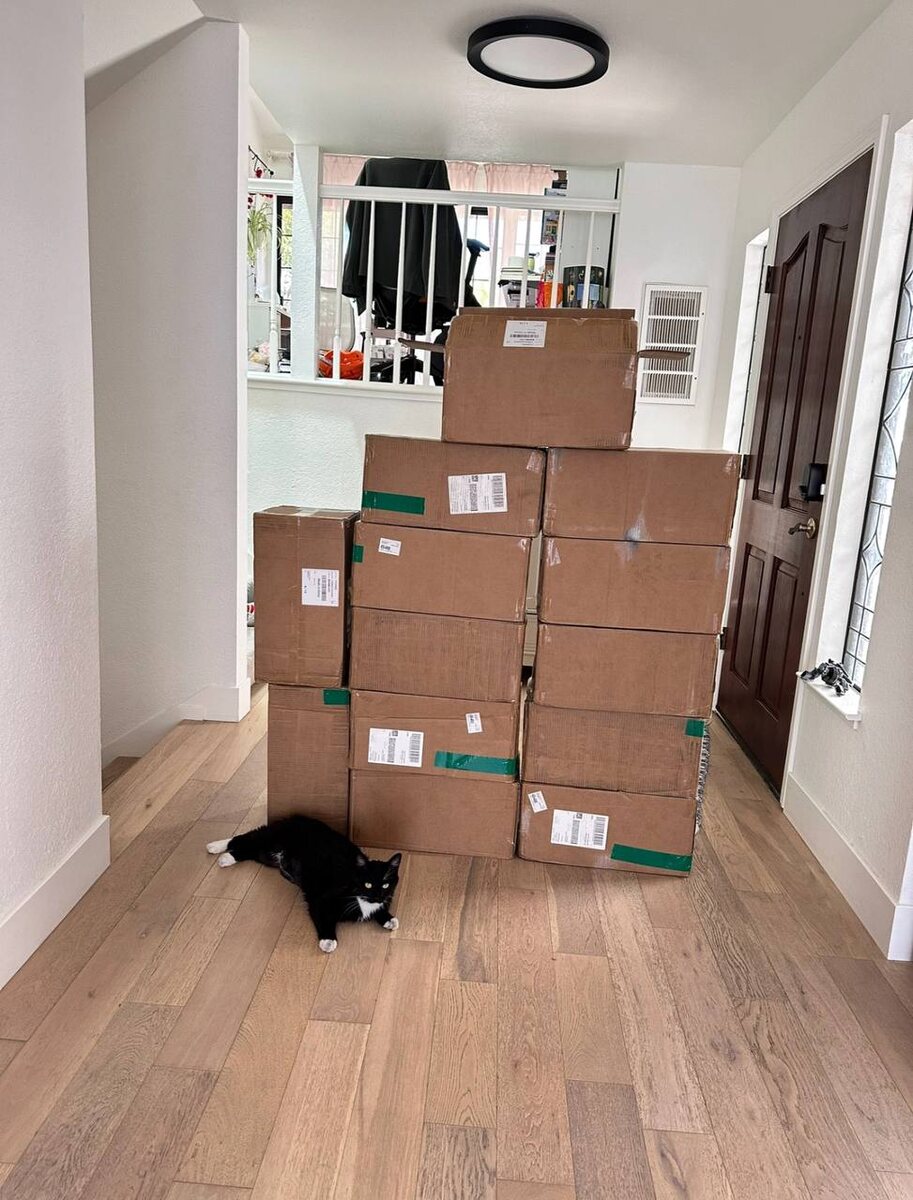 Тот день, когда пришла партия книг домой к Анастасии.