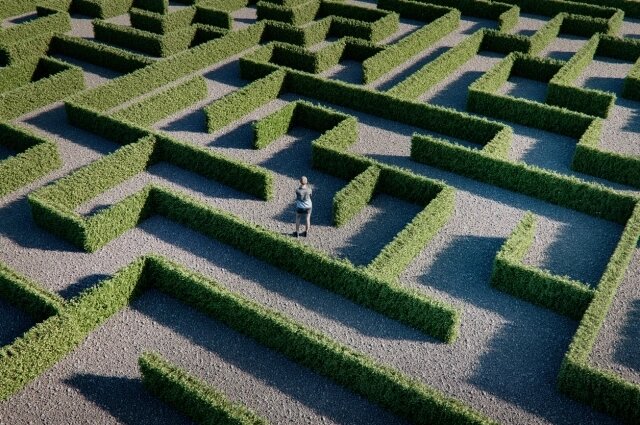    Фото: istockphoto.com/ gremlin