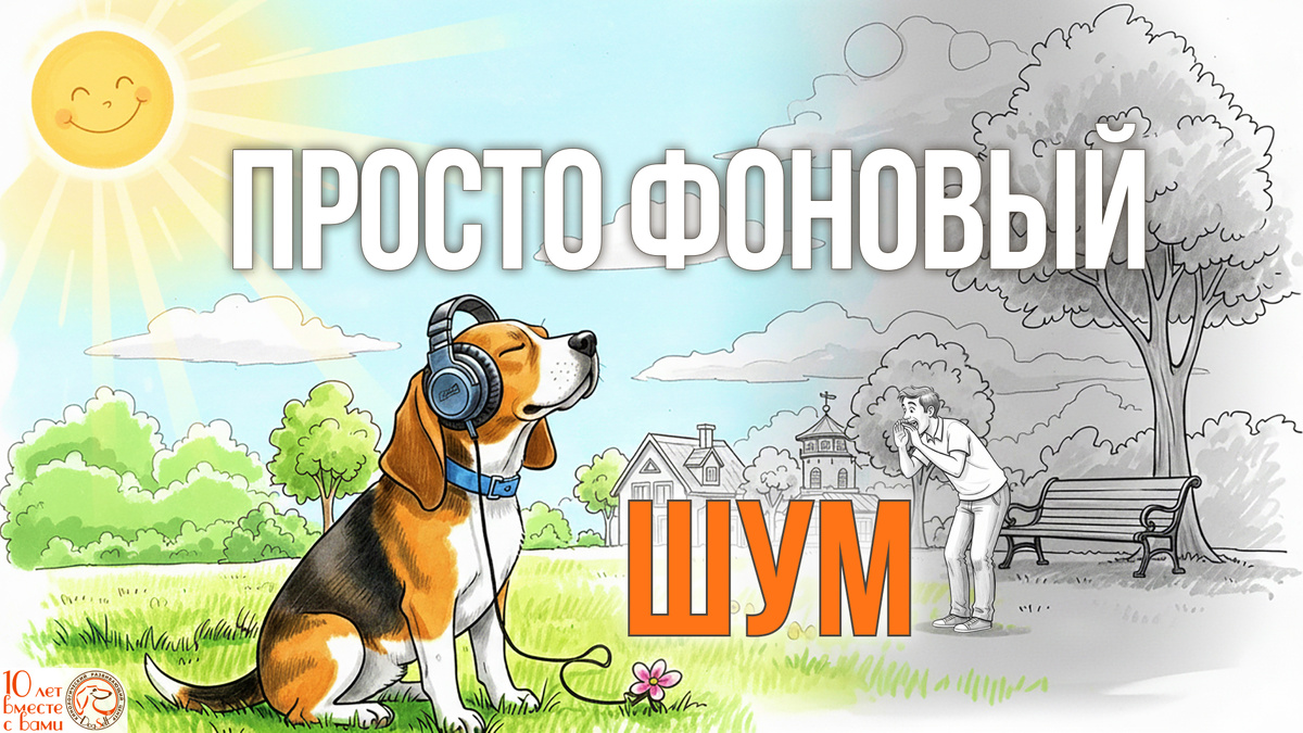 Почему собака игнорирует команду «Ко мне»? В её ушах – музыка парка, а ваш крик – просто фоновый шум, который нужно научиться пробивать | Изображение: DogSelf