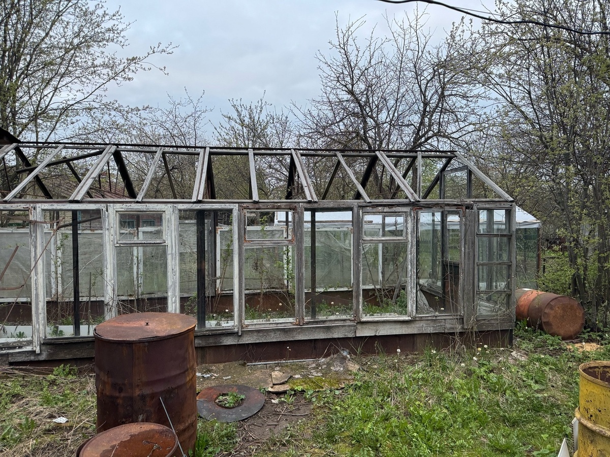    Томатам осенью - обязательно: готовим грядки в теплице правильно - залог рекордного урожая