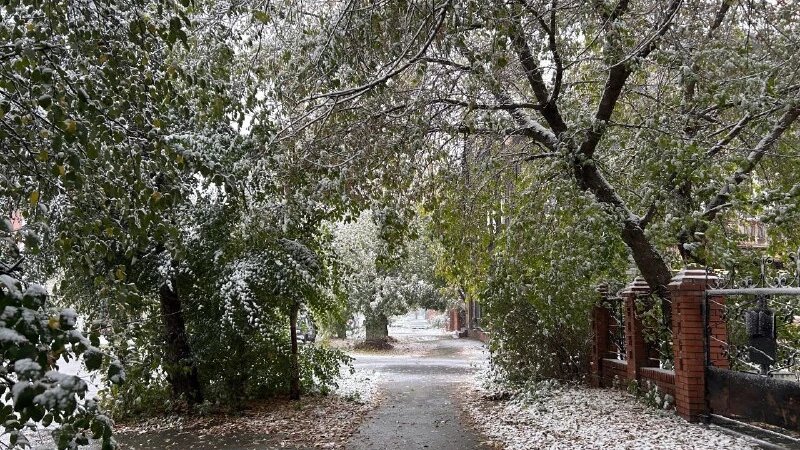     Снегопад в Барнауле 2025 Кристина Тарасова