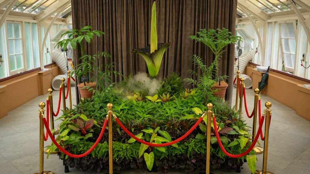    George Chan/Keystone Press Agency/Globallookpress