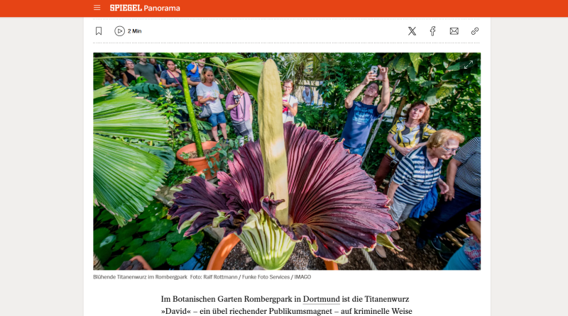    скриншот https://www.spiegel.de