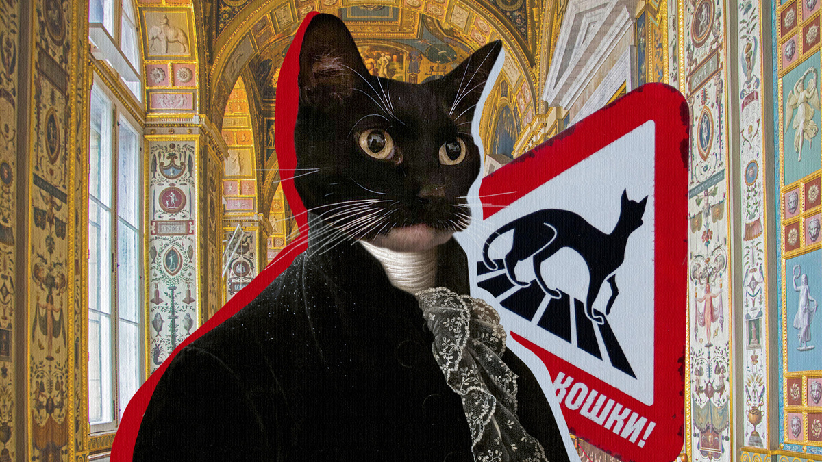 Сны кота Лушки