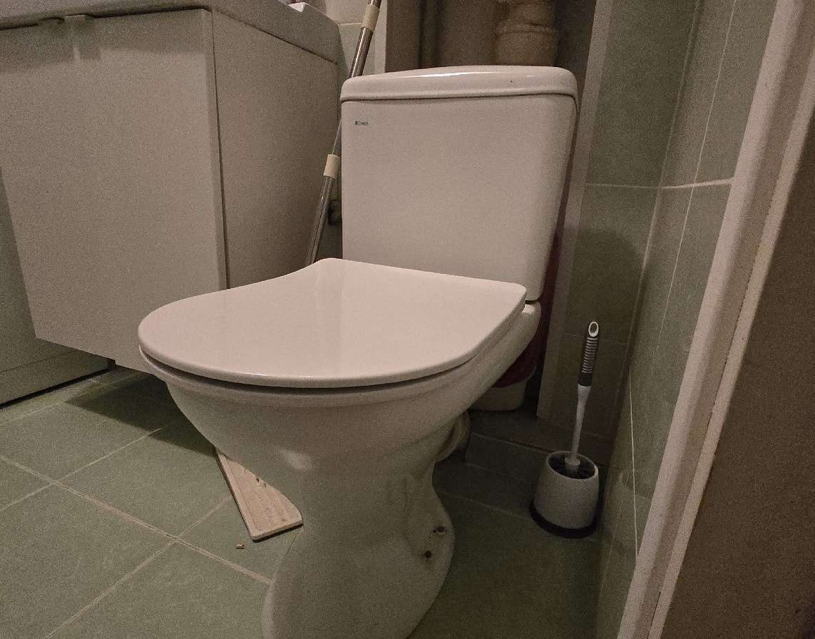    Как быстро устранить неприятный запах в туалете: рабочие методы и совет от профессионала