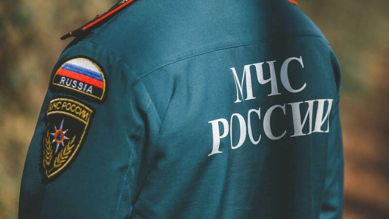    Фото: Dizzy_Studio / Shutterstock / Fotodom