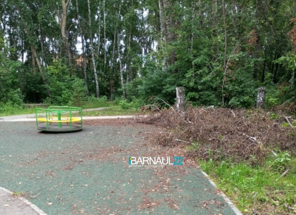 Парк «Юбилейный»
Фото: Barnaul22