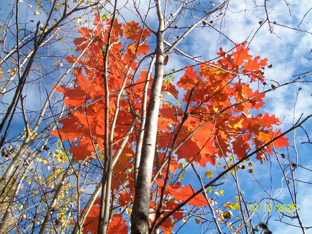 Личное фото
