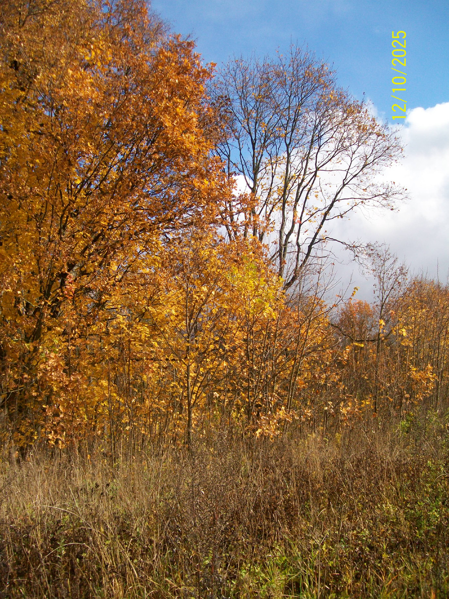 Личное фото