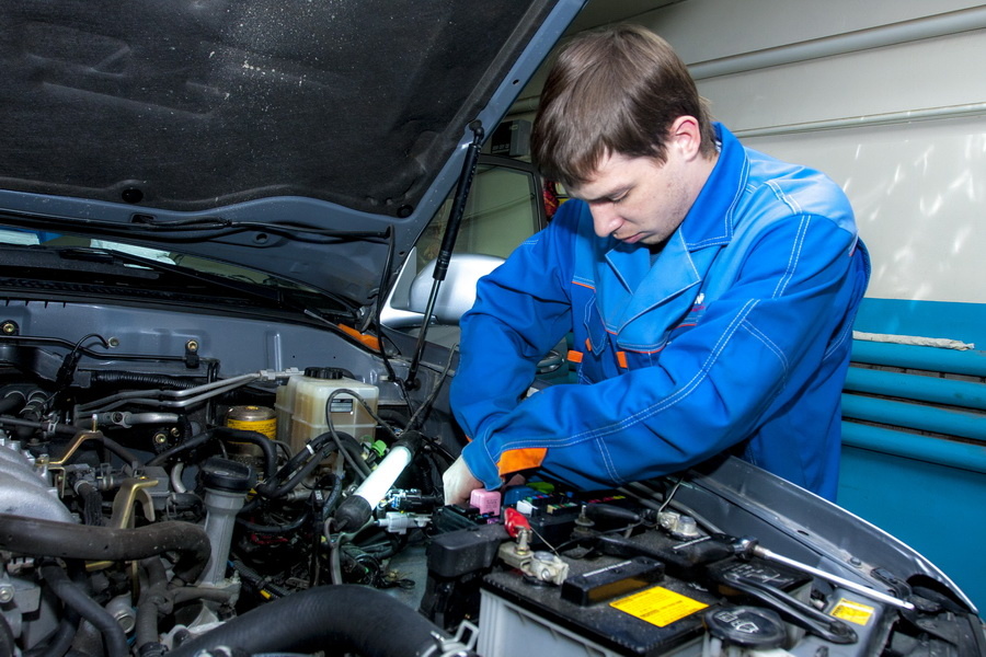 Фото: Павел Комаров, nsknews.info