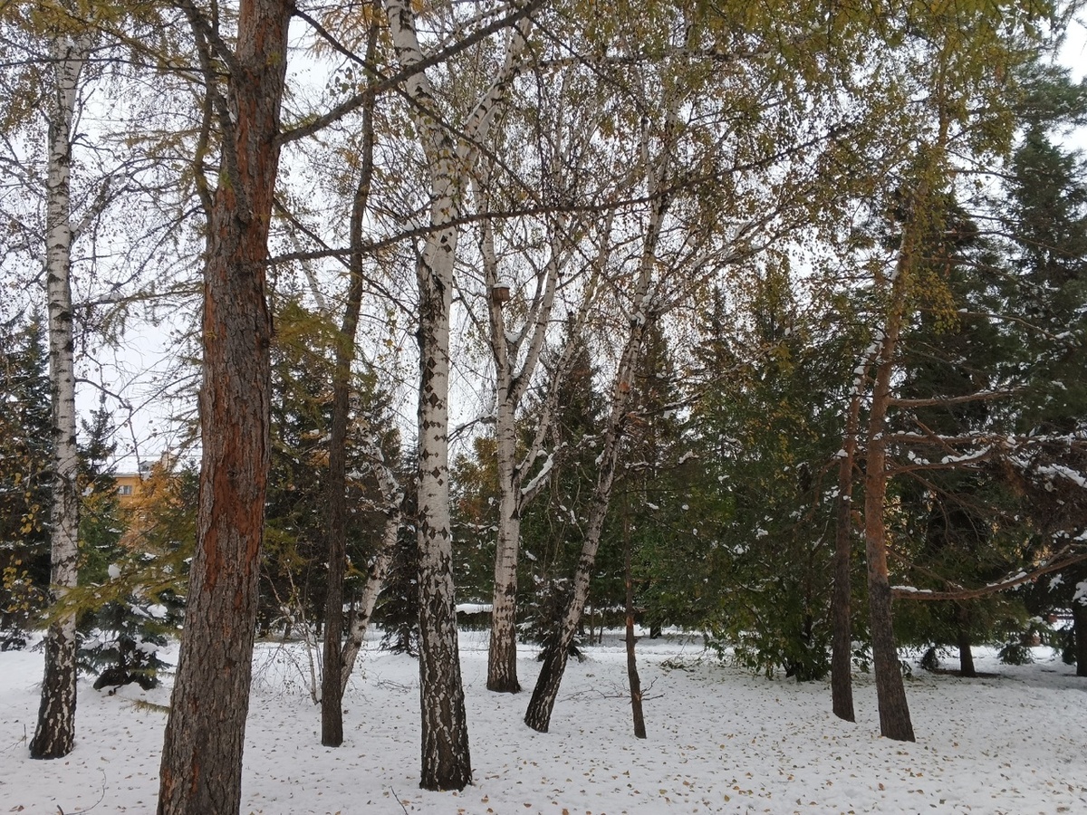 Сквер образца 12.10.2025