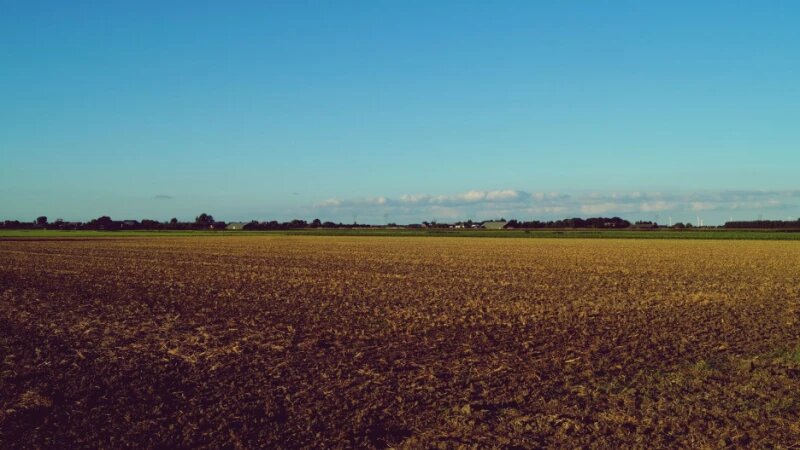     Земля. Поле. СС0