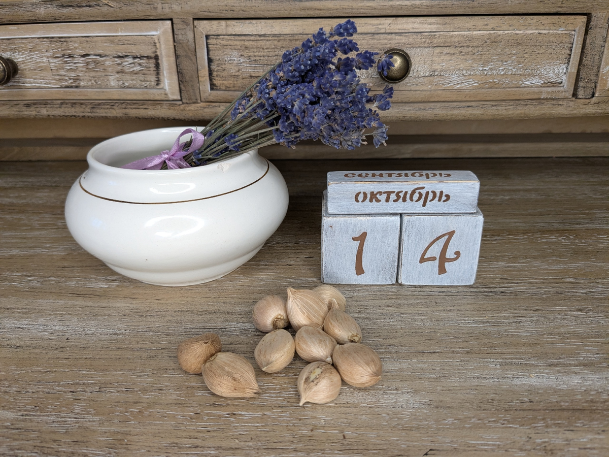 У иридодиктиумов обычно светлая шелуха луковиц, у ксифиумов - темная