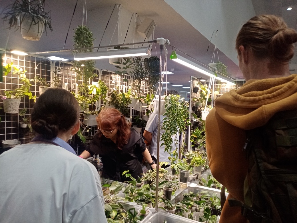 На входе вас встречает царство Хой.