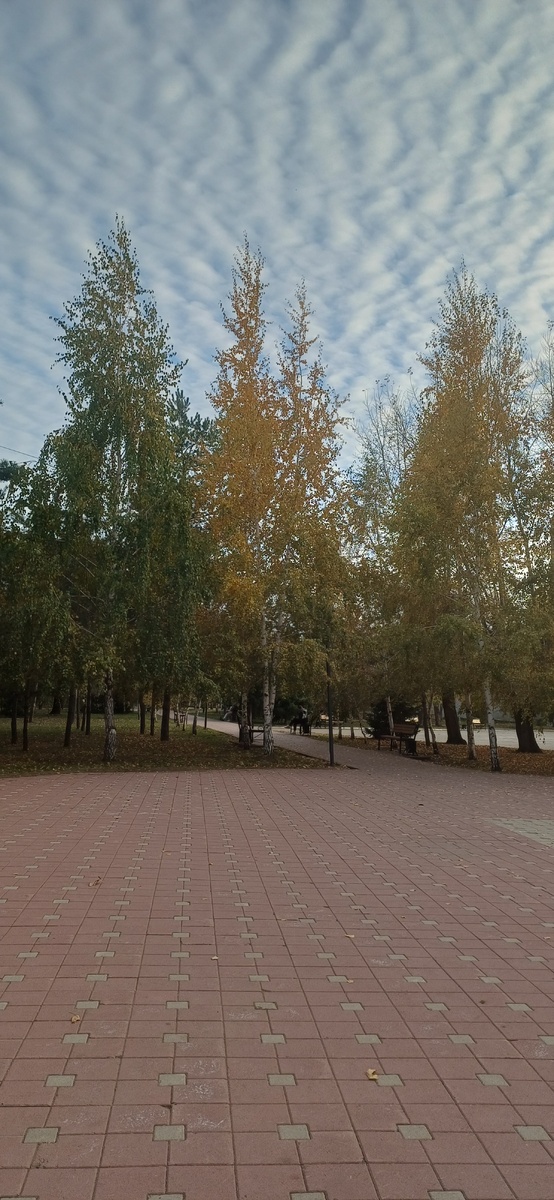 Недавно была в парке, как там сейчас красиво.А небо просто завораживает.