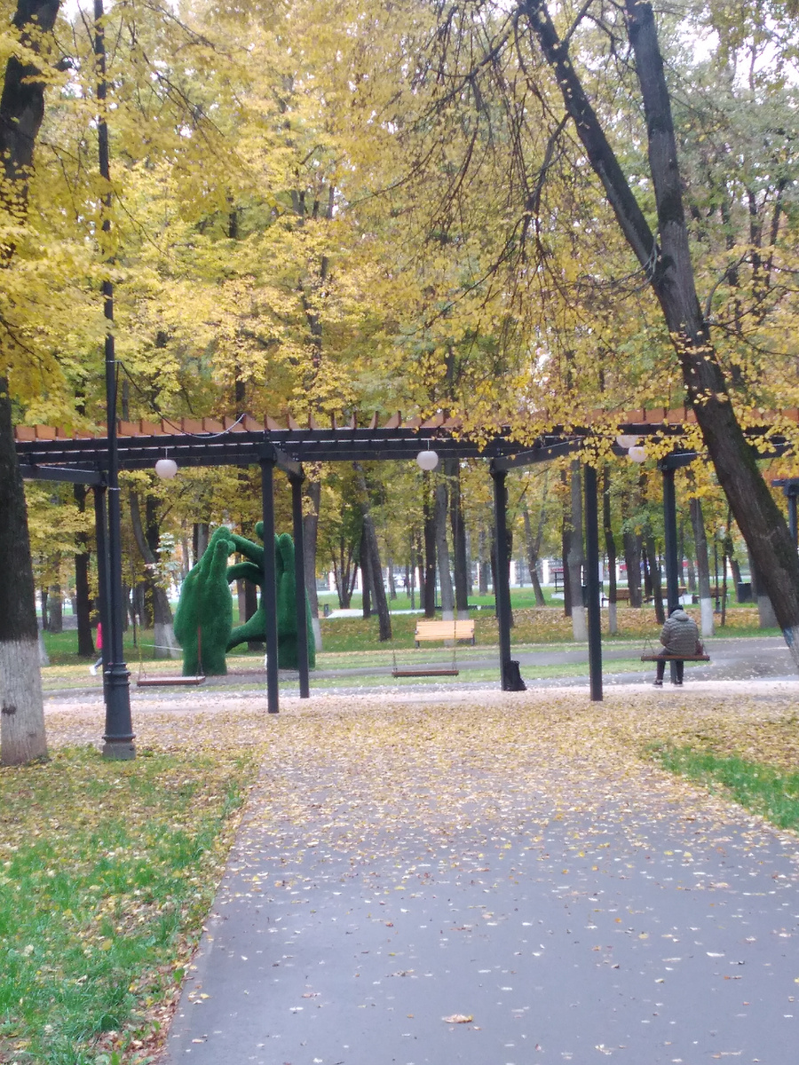 Но пока у нас снега нет, только ковер из желтых листьев.