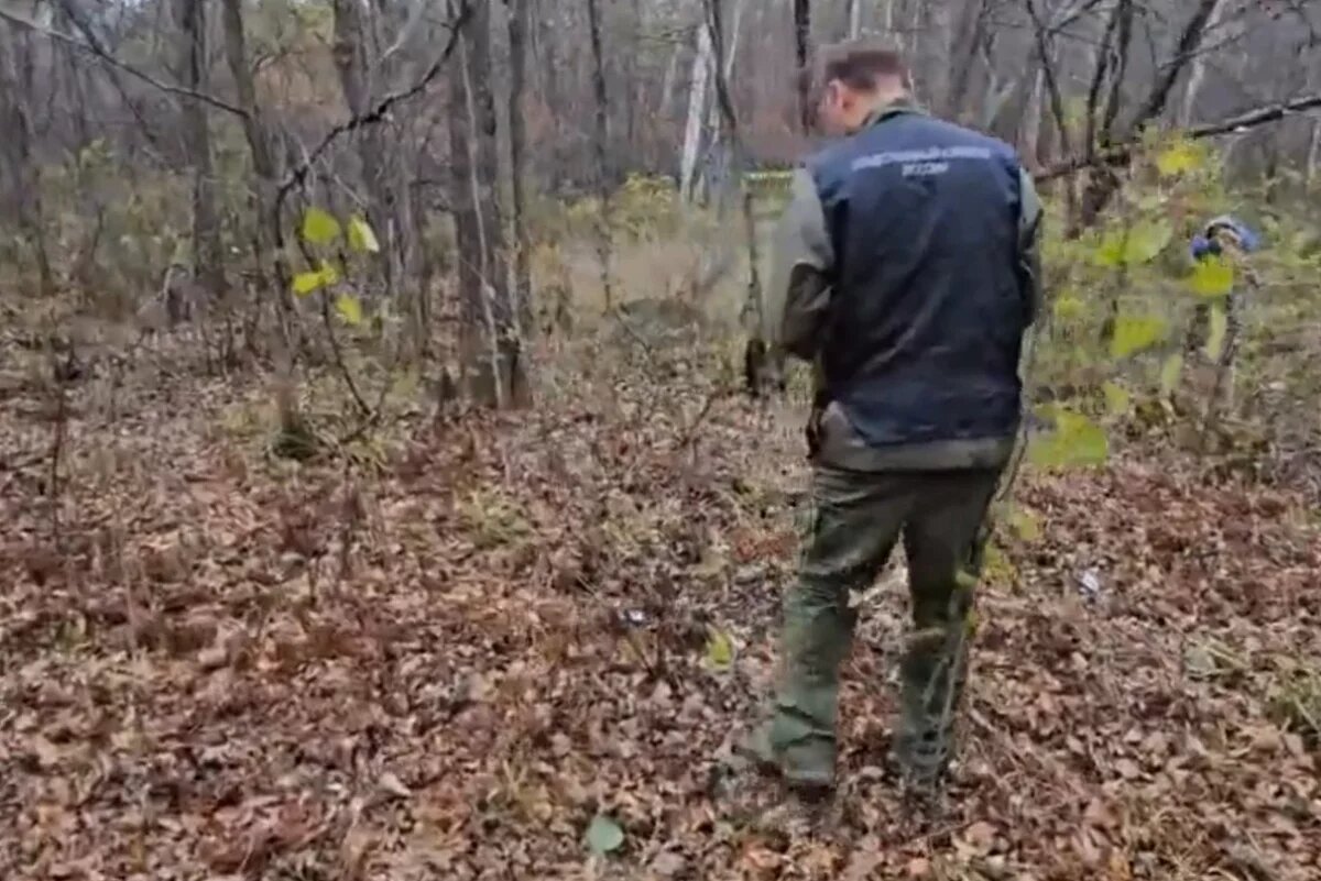    Хабаровчанин убил интернет-знакомую за отказ заняться сексом в лесу