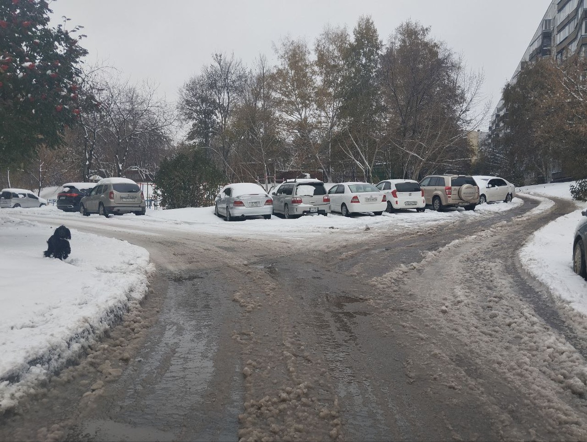 Снег периодически тает и вновь выпадает.  Фото: Фото: ФедералПресс / Екатерина Ломакина