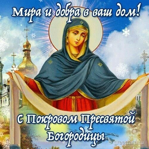 яндекс картинки