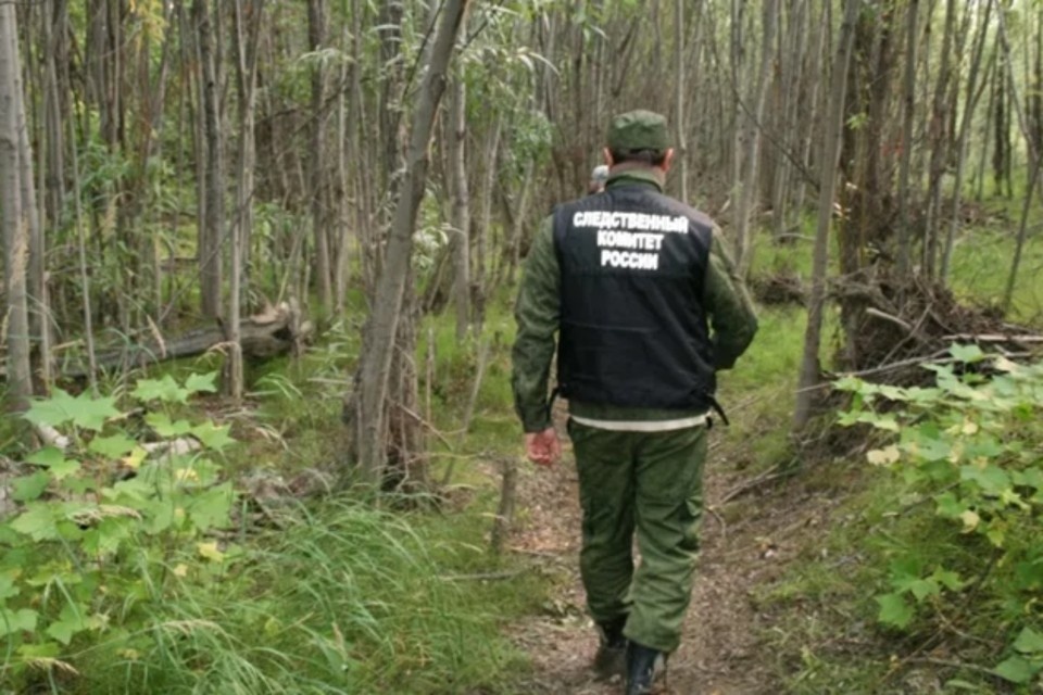    Жителю Оричевского района нанесли смертельные травмы в лесу. Фото: Следком