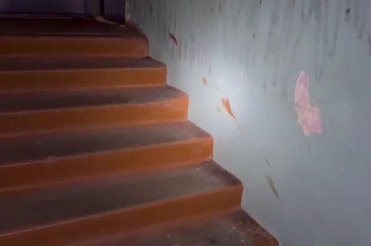    Мать погибшей в Шелехове девушки рассказала о деталях нападения в подъезде