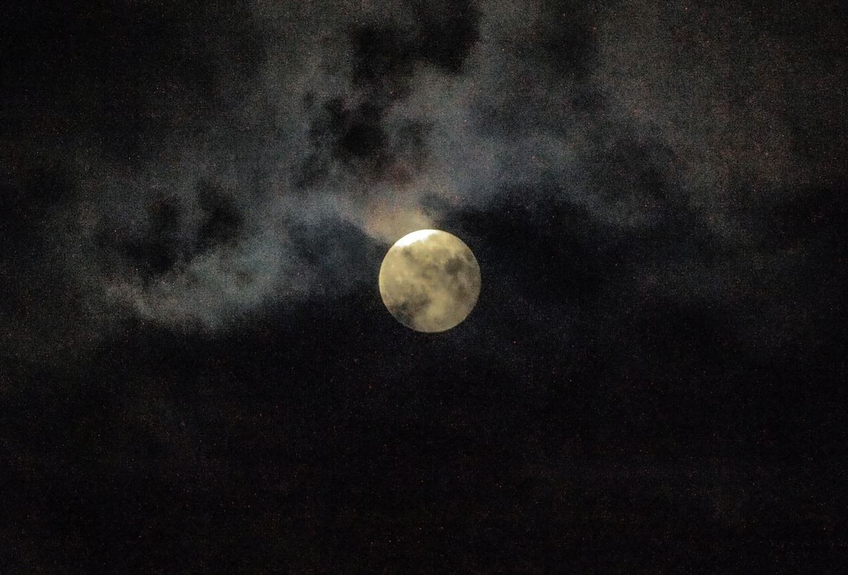     Фото: Виталий ГАРКУША