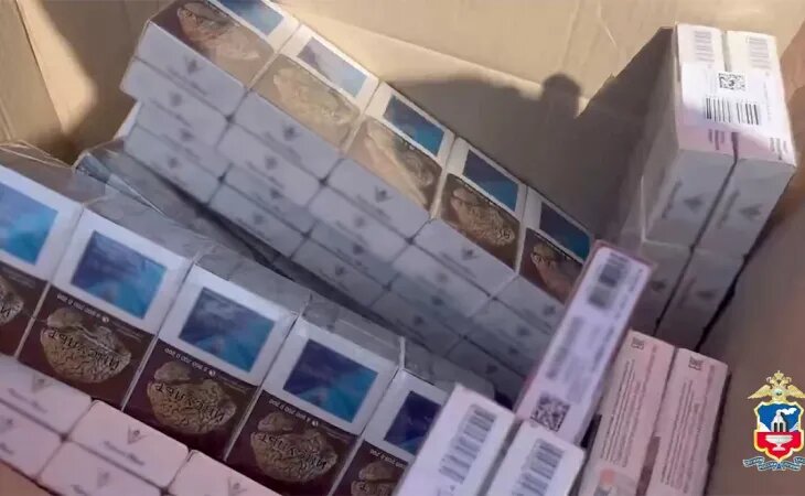 Оперативная съемка. Фото: скрин видео МВД Медиа