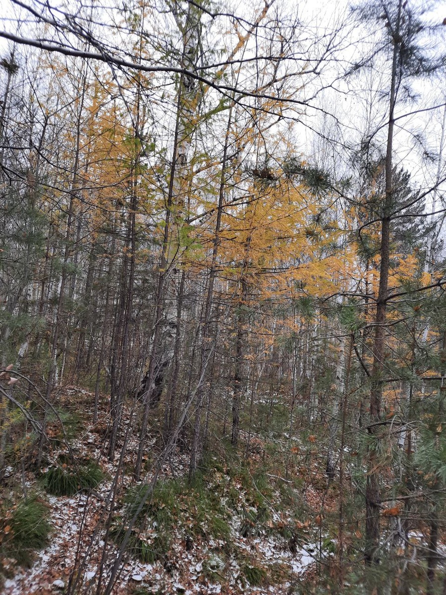 Фото автора.