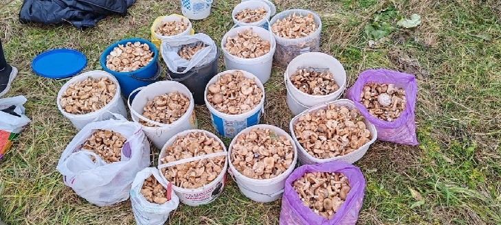    Фото Ирины Ц.