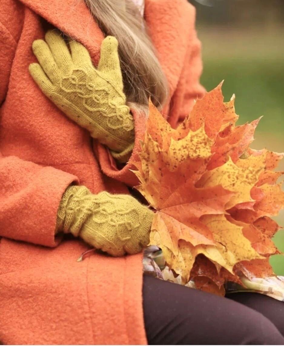 Картинка из свободного доступа интернет. 