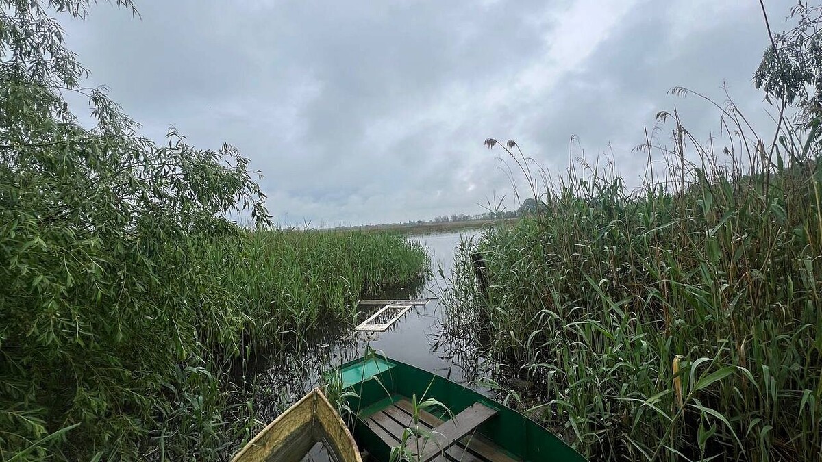    Фото: архив телеканала «Краснодар»