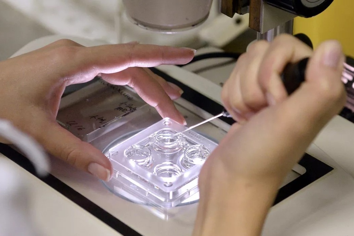    Фото: Михаил Воскресенский, источник: ria.ru